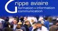 Grippe aviaire. Formation - information communication. Fiche mémo à l'usage des professionnels de santé
