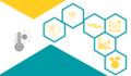 Eco-anxiété : repérer, apprivoiser, transformer - Webinaire le 22 juin 2023